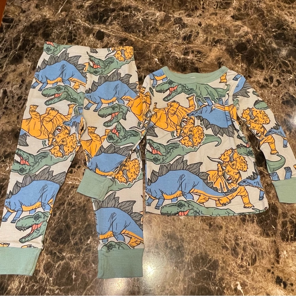 Kids Dinosaur Pajama Set - Blue and Green
